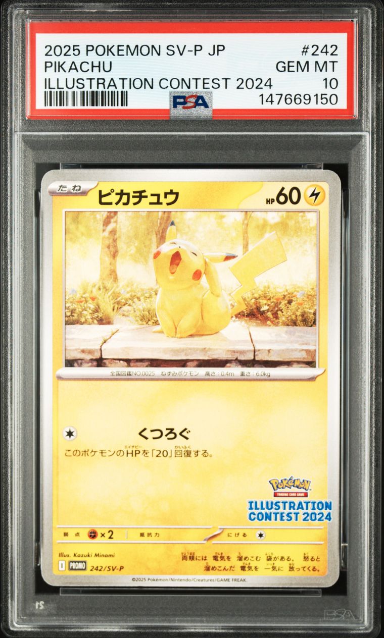Pikachu — Illustration Contest 2024, PSA 10, carte 242/SV-P, Recto